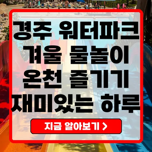 경주 강동워터파크 겨울 여행 후기