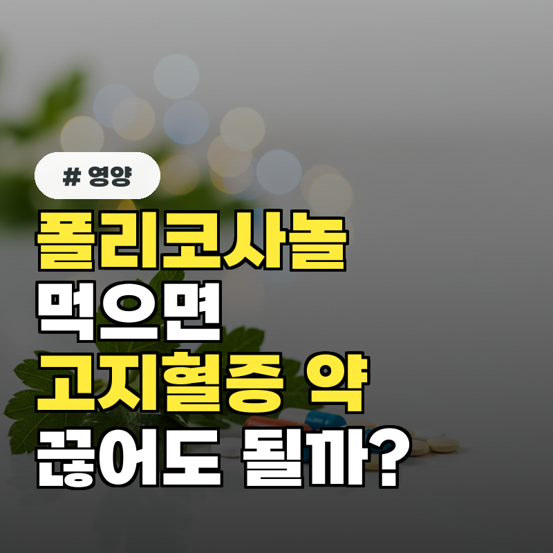폴리코사놀 먹으면 고지혈증 약 끊어도 될까?