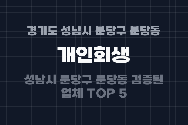 경기도 성남시 분당구 분당동 개인회생