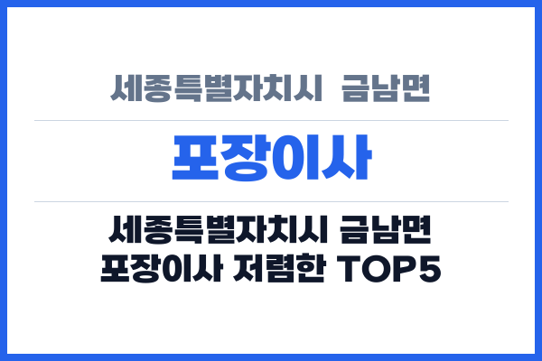 세종특별자치시  금남면 포장이사
