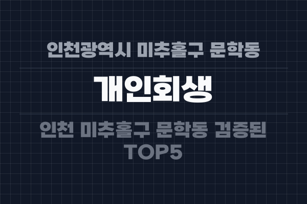 인천광역시 미추홀구 문학동 개인회생