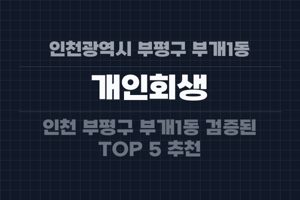 인천광역시 부평구 부개1동 개인회생