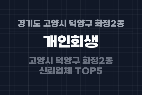 경기도 고양시 덕양구 화정2동 개인회생