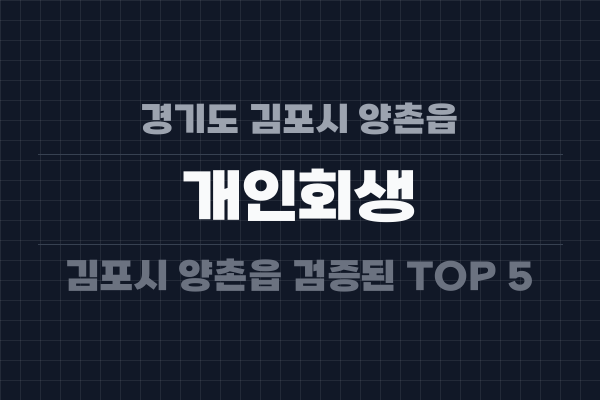 경기도 김포시 양촌읍 개인회생