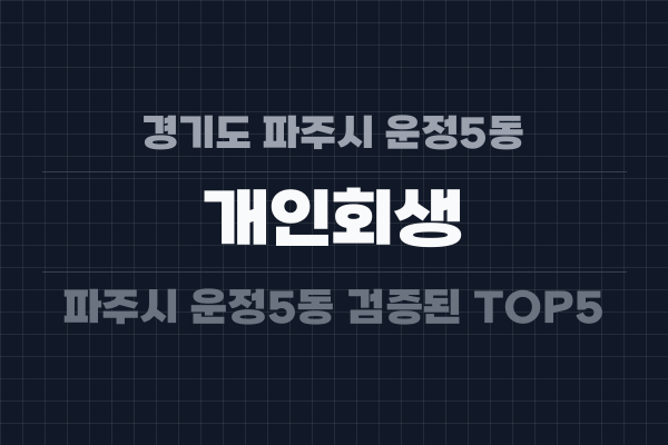 경기도 파주시 운정5동 개인회생