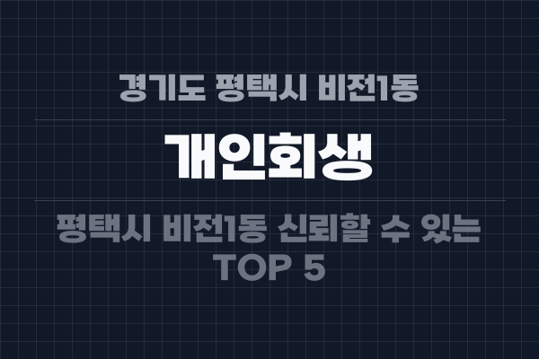 경기도 평택시 비전1동 개인회생