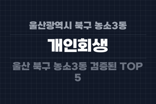 울산광역시 북구 농소3동 개인회생