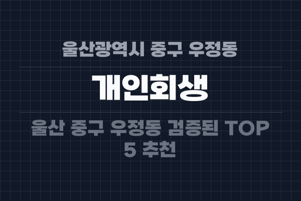 울산광역시 중구 우정동 개인회생