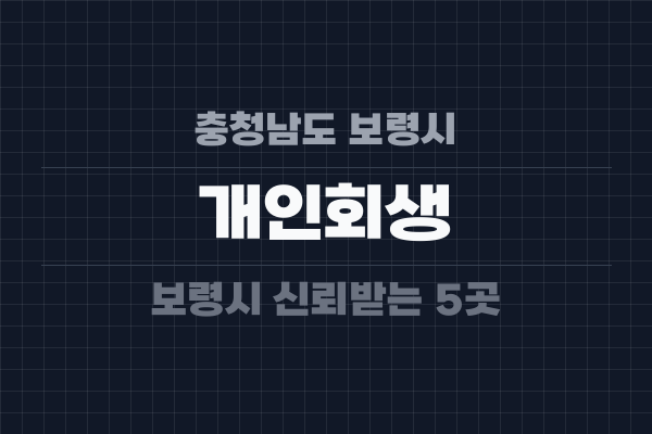 충청남도 보령시 개인회생