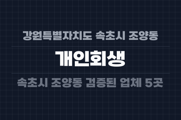 강원특별자치도 속초시 조양동 개인회생