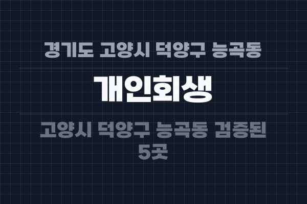 경기도 고양시 덕양구 능곡동 개인회생