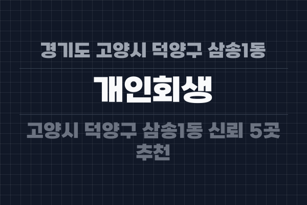 경기도 고양시 덕양구 삼송1동 개인회생