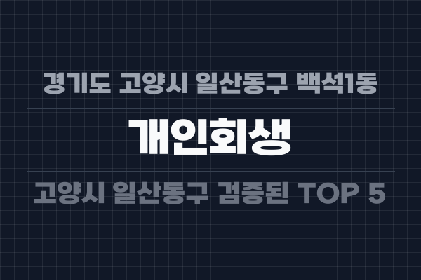 경기도 고양시 일산동구 백석1동 개인회생