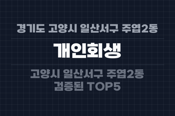 경기도 고양시 일산서구 주엽2동 개인회생