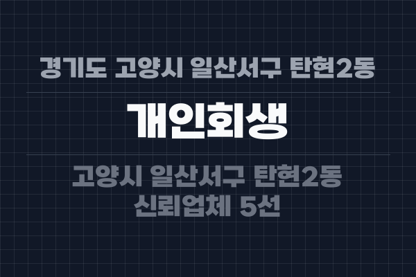 경기도 고양시 일산서구 탄현2동 개인회생