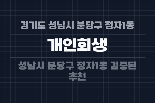 경기도 성남시 분당구 정자1동 개인회생