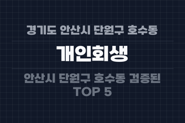 경기도 안산시 단원구 호수동 개인회생
