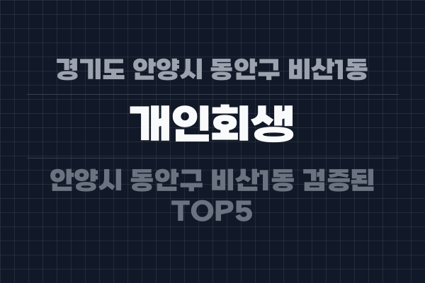 경기도 안양시 동안구 비산1동 개인회생