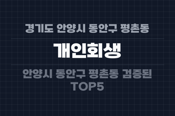 경기도 안양시 동안구 평촌동 개인회생