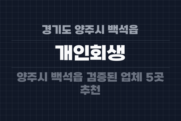 경기도 양주시 백석읍 개인회생