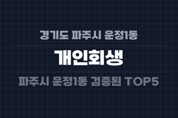 경기도 파주시 운정1동 개인회생