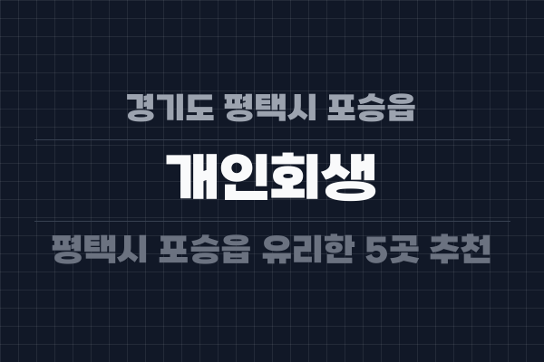 경기도 평택시 포승읍 개인회생