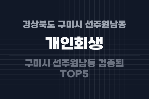 경상북도 구미시 선주원남동 개인회생