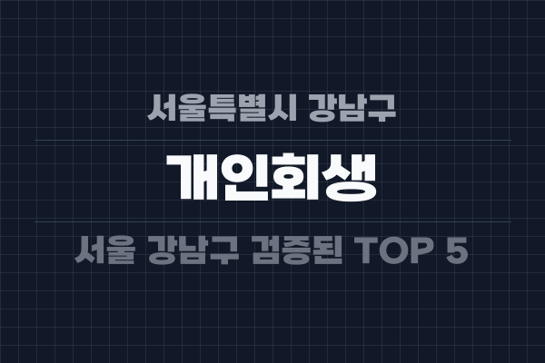 서울특별시 강남구 개인회생