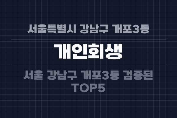 서울특별시 강남구 개포3동 개인회생