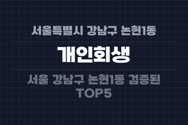 서울특별시 강남구 논현1동 개인회생