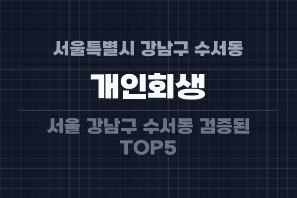 서울특별시 강남구 수서동 개인회생