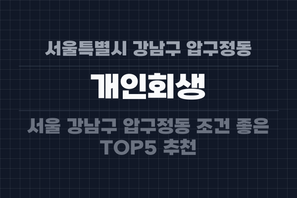 서울특별시 강남구 압구정동 개인회생