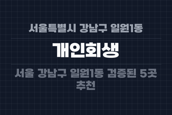 서울특별시 강남구 일원1동 개인회생