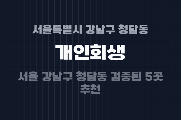 서울특별시 강남구 청담동 개인회생