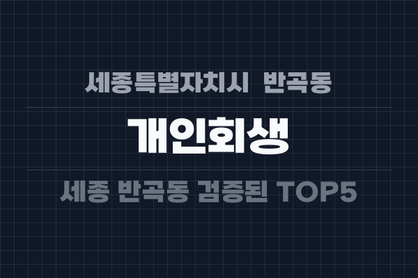 세종특별자치시  반곡동 개인회생