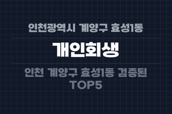 인천광역시 계양구 효성1동 개인회생