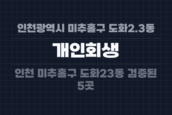 인천광역시 미추홀구 도화2.3동 개인회생