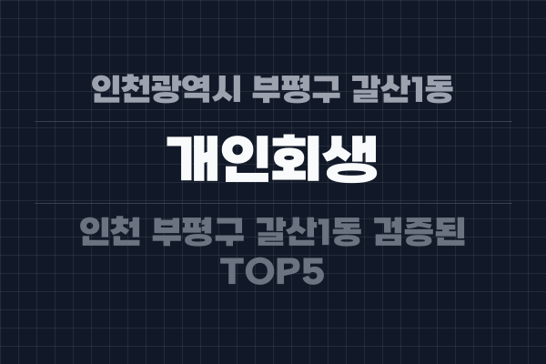 인천광역시 부평구 갈산1동 개인회생