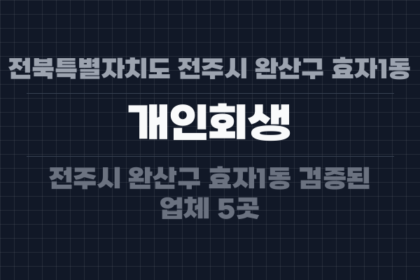 전북특별자치도 전주시 완산구 효자1동 개인회생