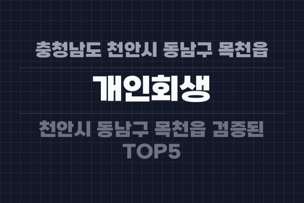충청남도 천안시 동남구 목천읍 개인회생