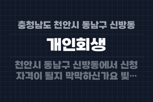 충청남도 천안시 동남구 신방동 개인회생