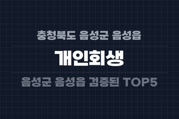 충청북도 음성군 음성읍 개인회생