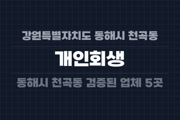 강원특별자치도 동해시 천곡동 개인회생