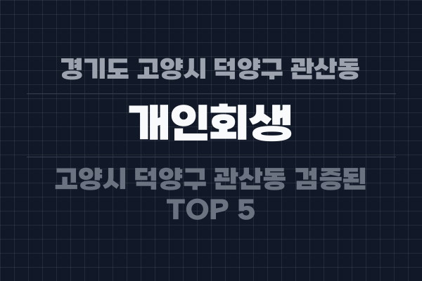경기도 고양시 덕양구 관산동 개인회생