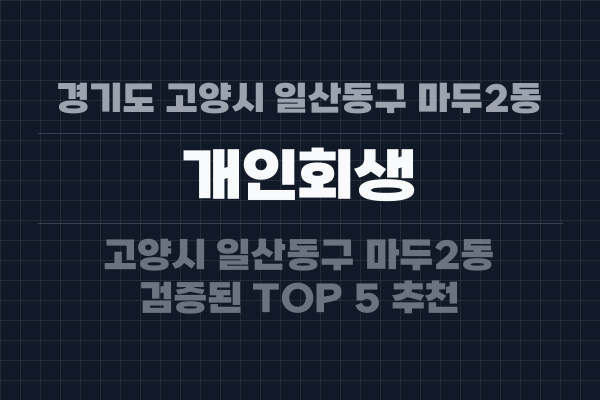 경기도 고양시 일산동구 마두2동 개인회생