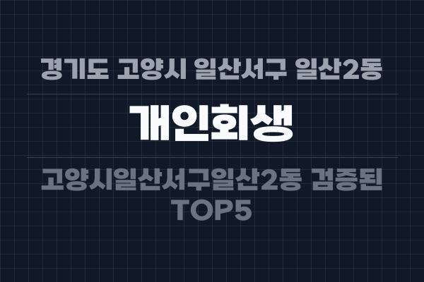 경기도 고양시 일산서구 일산2동 개인회생