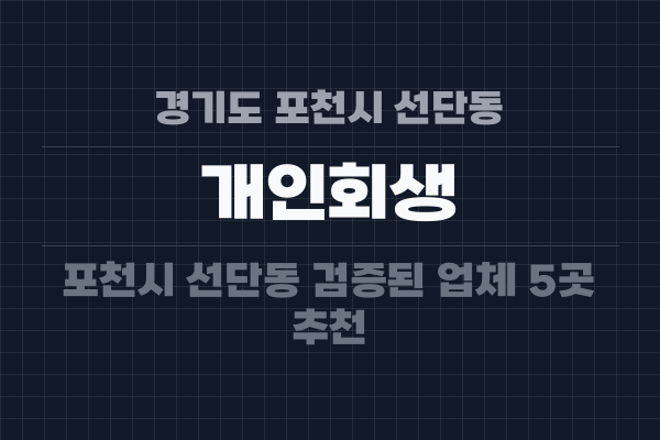 경기도 포천시 선단동 개인회생
