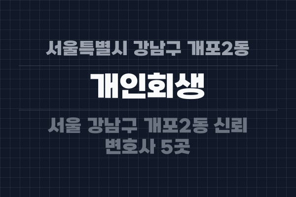 서울특별시 강남구 개포2동 개인회생