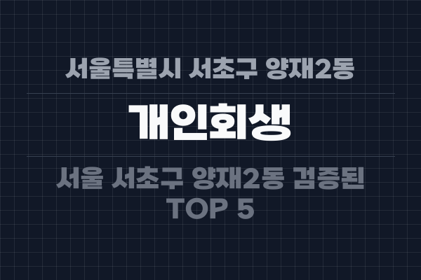 서울특별시 서초구 양재2동 개인회생