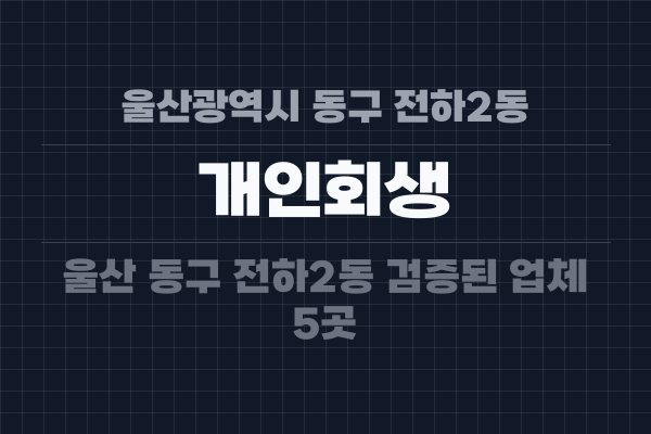 울산광역시 동구 전하2동 개인회생